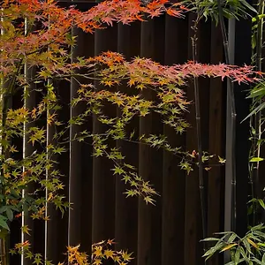 Affittacamere Oumi, Kyōto